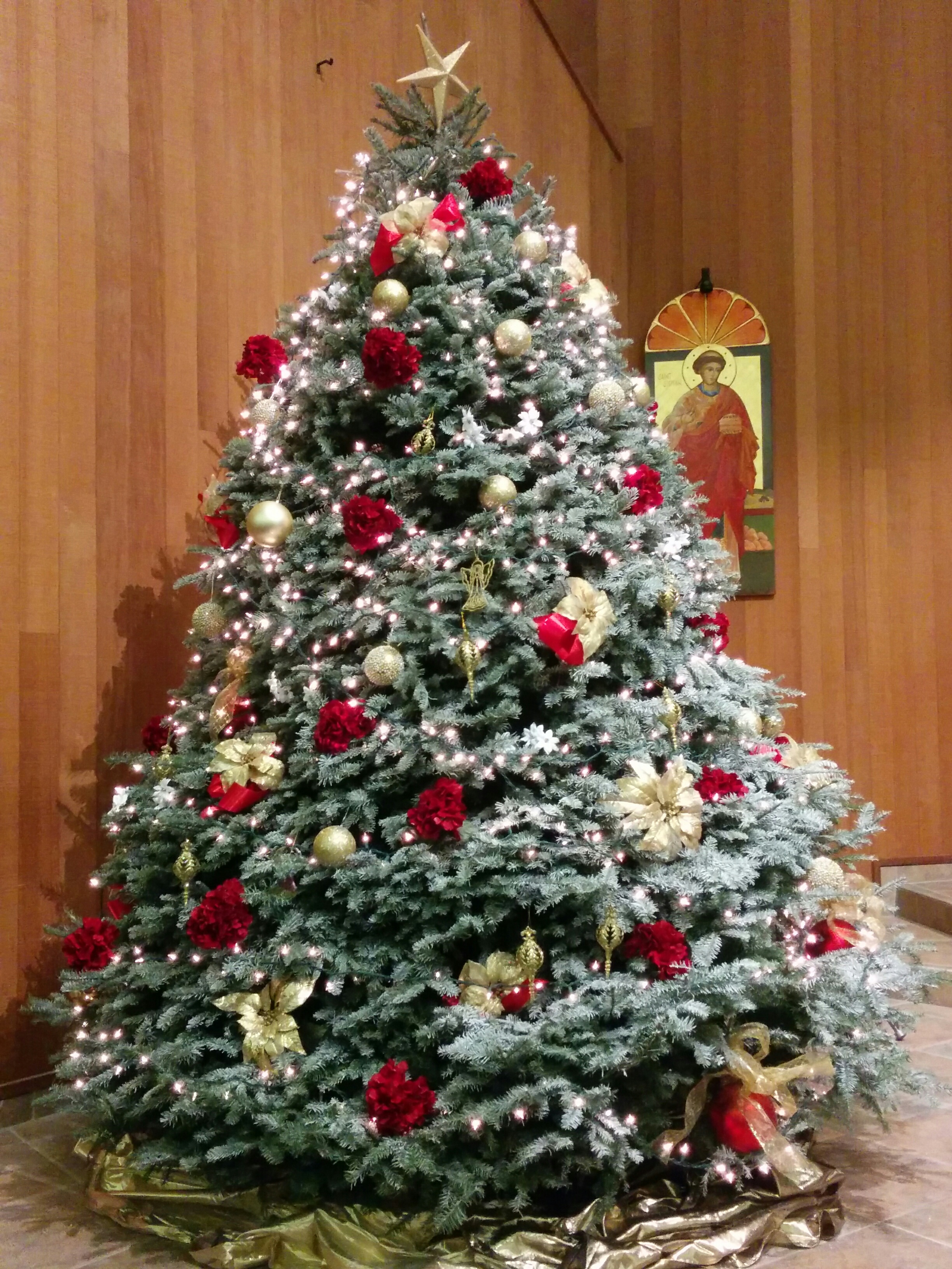2916 Christmas Tree.jpg